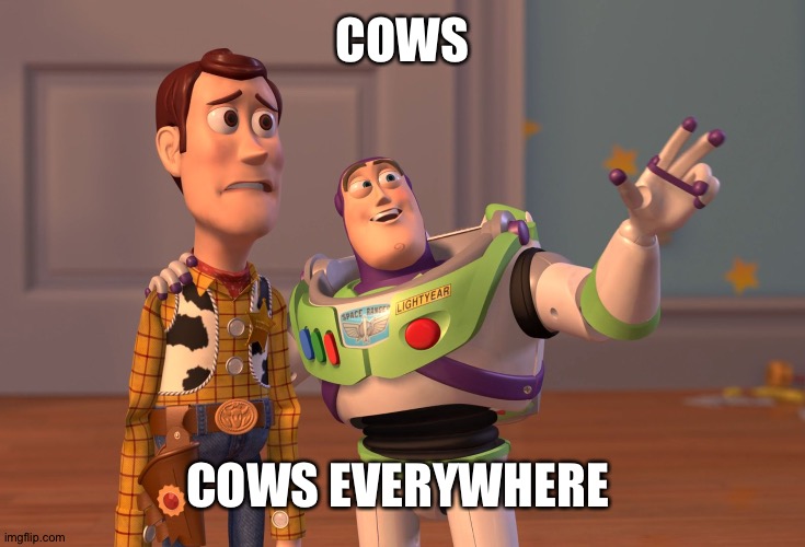 Everyone points out cows sooo... | COWS; COWS EVERYWHERE | image tagged in memes,x x everywhere,cows,points out cows | made w/ Imgflip meme maker