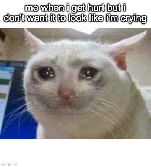 Sad cat | me when i get hurt but i don't want it to look like i'm crying | image tagged in sad cat,memes,funny,cats | made w/ Imgflip meme maker