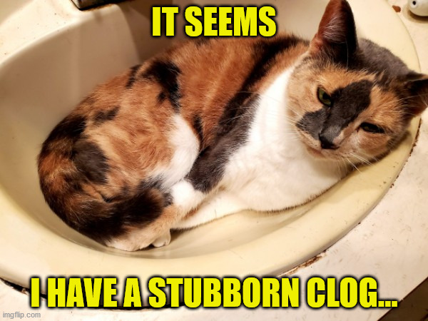 A Stubborn Clog | IT SEEMS; I HAVE A STUBBORN CLOG... | image tagged in stubborn clog | made w/ Imgflip meme maker