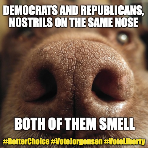 Both of them smell... | DEMOCRATS AND REPUBLICANS, NOSTRILS ON THE SAME NOSE; BOTH OF THEM SMELL; #BetterChoice #VoteJorgensen #VoteLiberty | image tagged in chuckie the chocolate lab,bad smell,election 2020,duopoly,same thing,presidential race | made w/ Imgflip meme maker