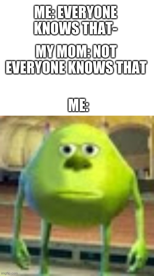 ME: EVERYONE KNOWS THAT-; MY MOM: NOT EVERYONE KNOWS THAT; ME: | image tagged in blank white template,sully wazowski | made w/ Imgflip meme maker