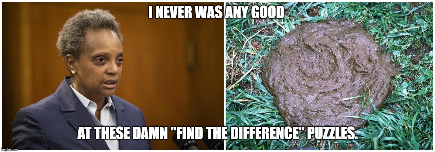 Lori Lightfoot | I NEVER WAS ANY GOOD; AT THESE DAMN "FIND THE DIFFERENCE" PUZZLES. | image tagged in mayor,move that miserable piece of shit | made w/ Imgflip meme maker