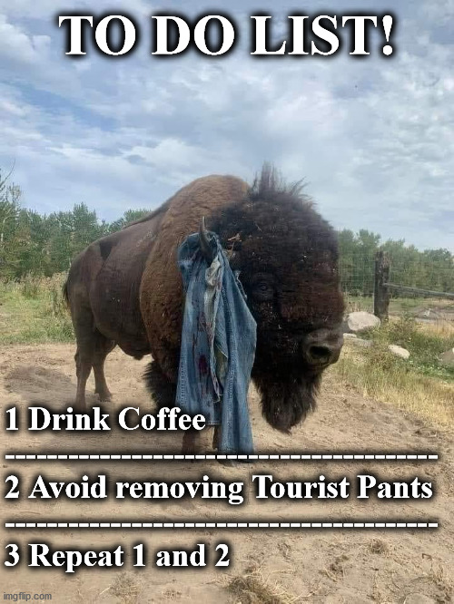 bison | TO DO LIST! 1 Drink Coffee
-----------------------------------------

2 Avoid removing Tourist Pants
-----------------------------------------

3 Repeat 1 and 2 | image tagged in bison | made w/ Imgflip meme maker