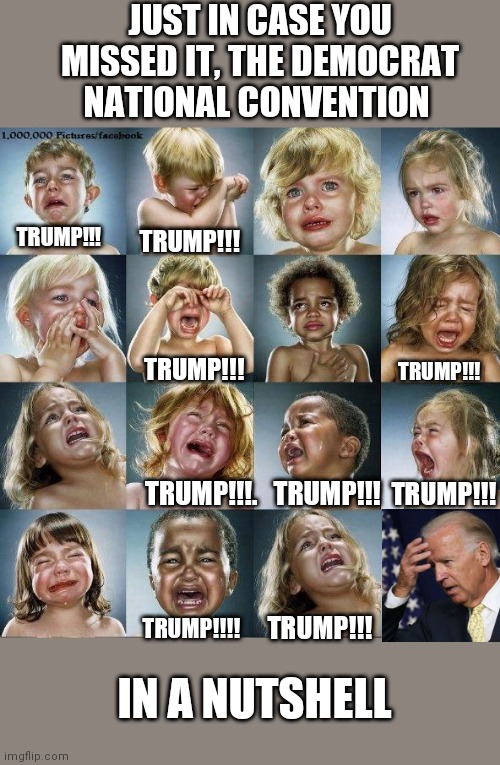 crying babies  | JUST IN CASE YOU MISSED IT, THE DEMOCRAT NATIONAL CONVENTION; TRUMP!!! TRUMP!!! TRUMP!!! TRUMP!!! TRUMP!!!. TRUMP!!! TRUMP!!! TRUMP!!! TRUMP!!!! IN A NUTSHELL | image tagged in crying babies | made w/ Imgflip meme maker