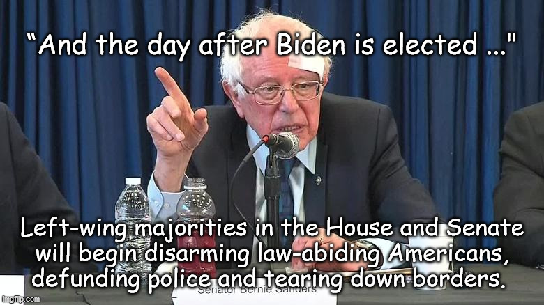 the day after Biden wins | “And the day after Biden is elected ..."; Left-wing majorities in the House and Senate
will begin disarming law-abiding Americans,
defunding police and tearing down borders. | image tagged in the decent begins | made w/ Imgflip meme maker
