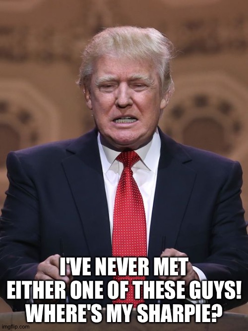 Donald Trump | I'VE NEVER MET EITHER ONE OF THESE GUYS!
WHERE'S MY SHARPIE? | image tagged in donald trump | made w/ Imgflip meme maker