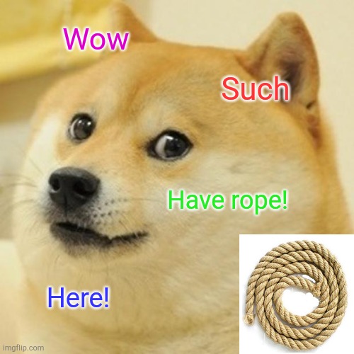Doge Meme | Wow Such Have rope! Here! | image tagged in memes,doge | made w/ Imgflip meme maker