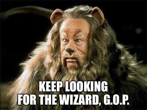 cowardly lion | KEEP LOOKING FOR THE WIZARD, G.O.P. | image tagged in cowardly lion | made w/ Imgflip meme maker