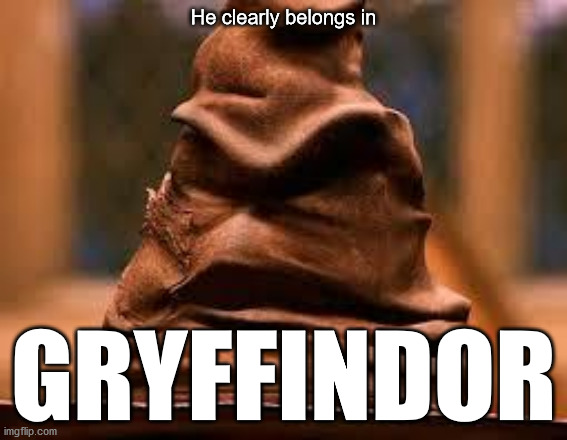 Harry Potter Sorting Hat | He clearly belongs in GRYFFINDOR | image tagged in harry potter sorting hat | made w/ Imgflip meme maker