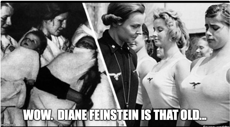 Is she really that old? | WOW.  DIANE FEINSTEIN IS THAT OLD... | image tagged in meme parody | made w/ Imgflip meme maker