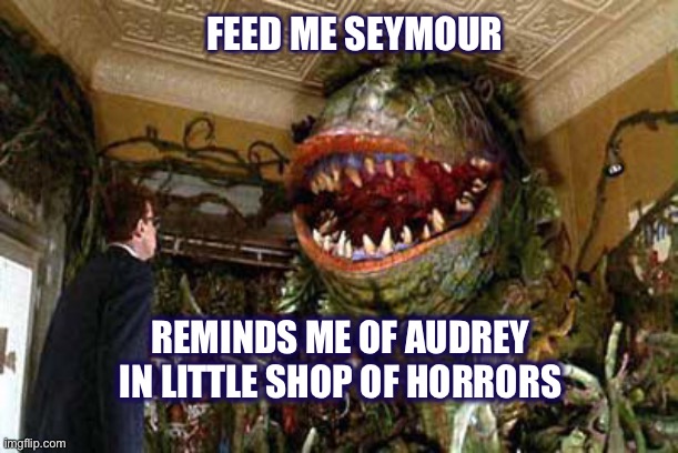 little shop of horrors | REMINDS ME OF AUDREY IN LITTLE SHOP OF HORRORS FEED ME SEYMOUR | image tagged in little shop of horrors | made w/ Imgflip meme maker