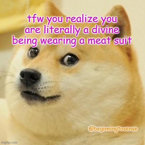 Infinite Being | tfw you realize you are literally a divine being wearing a meat suit; @beginningtosense | image tagged in memes,doge | made w/ Imgflip meme maker