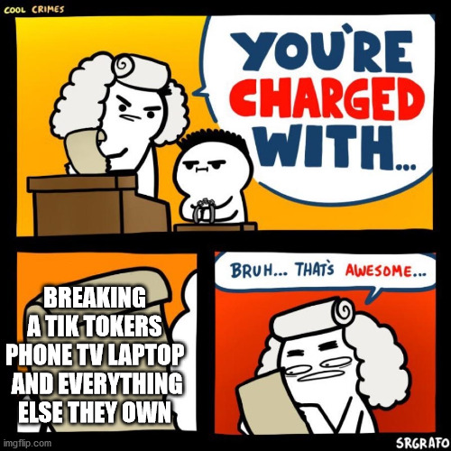 cool crimes | BREAKING A TIK TOKERS PHONE TV LAPTOP  AND EVERYTHING ELSE THEY OWN | image tagged in cool crimes | made w/ Imgflip meme maker