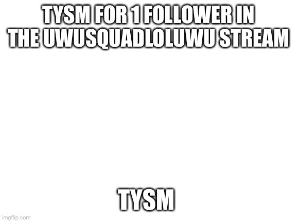 Blank White Template | TYSM FOR 1 FOLLOWER IN THE UWUSQUADLOLUWU STREAM; TYSM | image tagged in blank white template | made w/ Imgflip meme maker