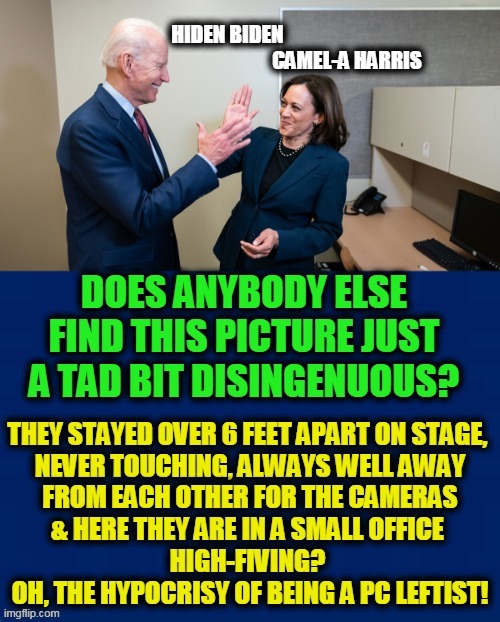 "Social Distance" Applies Only To You (Not Fake, Hypocritical Democrats) | image tagged in politics,political meme,democratic socialism,liberalism,joe biden,kamala harris | made w/ Imgflip meme maker