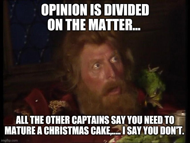 OPINION IS DIVIDED ON THE MATTER... ALL THE OTHER CAPTAINS SAY YOU NEED TO MATURE A CHRISTMAS CAKE,..... I SAY YOU DON'T. | image tagged in christmas cake | made w/ Imgflip meme maker
