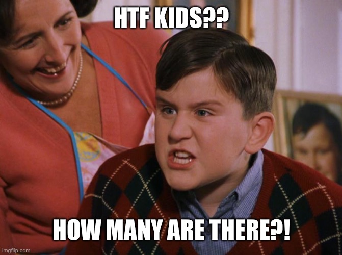 Harry Potter Dudley's Birthday | HTF KIDS?? HOW MANY ARE THERE?! | image tagged in harry potter dudley's birthday | made w/ Imgflip meme maker