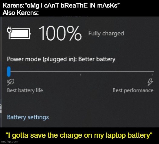 Karens:"oMg i cAnT bReaThE iN mAsKs"

Also Karens:; "I gotta save the charge on my laptop battery" | image tagged in memes | made w/ Imgflip meme maker