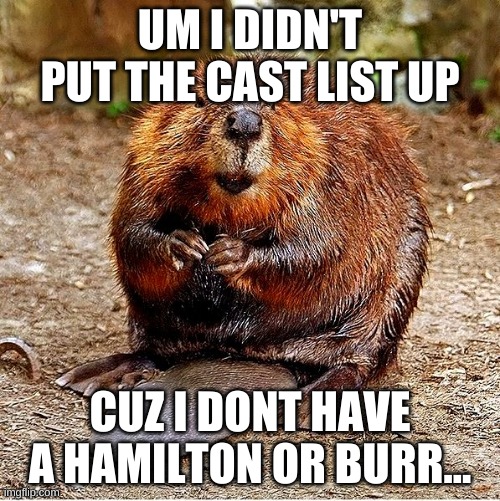 yep still waiting... | UM I DIDN'T PUT THE CAST LIST UP; CUZ I DONT HAVE A HAMILTON OR BURR... | image tagged in my bad | made w/ Imgflip meme maker