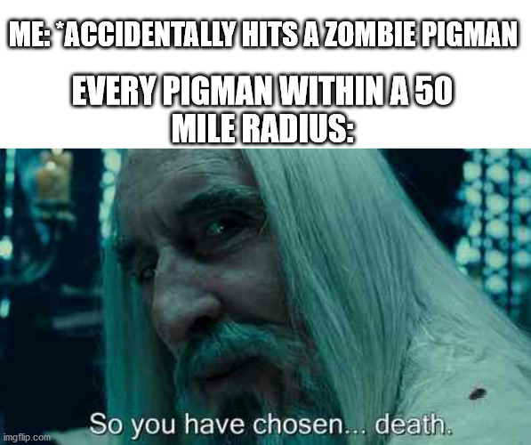 Shit.. | ME: *ACCIDENTALLY HITS A ZOMBIE PIGMAN; EVERY PIGMAN WITHIN A 50
MILE RADIUS: | image tagged in so you have chosen death | made w/ Imgflip meme maker