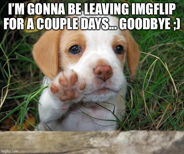 Might be able to post a meme or two today before I go | I’M GONNA BE LEAVING IMGFLIP FOR A COUPLE DAYS... GOODBYE ;) | image tagged in dog puppy bye | made w/ Imgflip meme maker