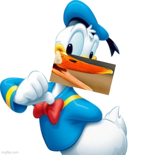 donald duck is a real duck | image tagged in cursed image,oof,donald duck | made w/ Imgflip meme maker