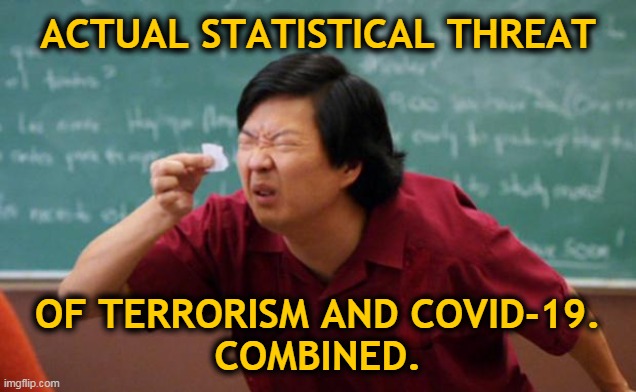 Actual statistical threat | ACTUAL STATISTICAL THREAT; OF TERRORISM AND COVID-19.
COMBINED. | image tagged in tiny piece of paper | made w/ Imgflip meme maker