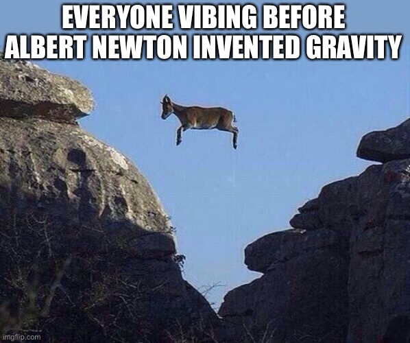 Whatever floats your goat | EVERYONE VIBING BEFORE ALBERT NEWTON INVENTED GRAVITY | image tagged in whatever floats your goat,albert newton,inventing gravity,before gravity,very interesting,yeah this is big brain time | made w/ Imgflip meme maker