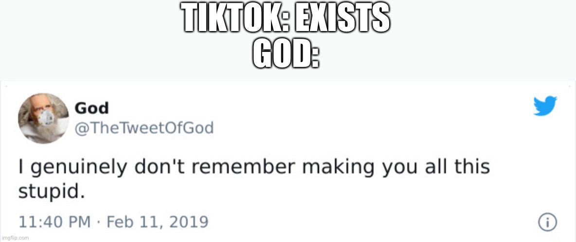 Lul | TIKTOK: EXISTS
GOD: | image tagged in i genuinely don t remember making you all this stupid | made w/ Imgflip meme maker