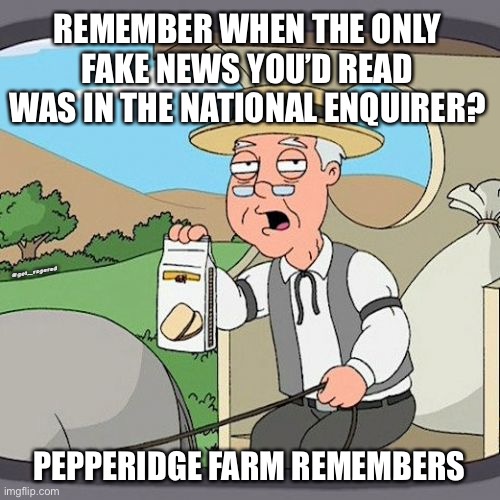 Pepperidge Farm Remembers | REMEMBER WHEN THE ONLY FAKE NEWS YOU’D READ WAS IN THE NATIONAL ENQUIRER? @get_rogered; PEPPERIDGE FARM REMEMBERS | image tagged in memes,pepperidge farm remembers | made w/ Imgflip meme maker