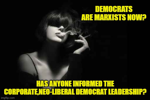 DEMOCRATS ARE MARXISTS NOW? HAS ANYONE INFORMED THE CORPORATE,NEO-LIBERAL DEMOCRAT LEADERSHIP? | made w/ Imgflip meme maker