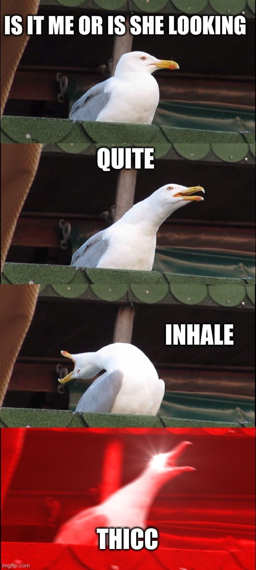 Inhaling Seagull | IS IT ME OR IS SHE LOOKING; QUITE; INHALE; THICC | image tagged in memes,inhaling seagull | made w/ Imgflip meme maker