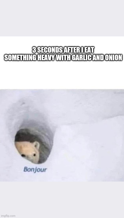 Bonjour | 3 SECONDS AFTER I EAT SOMETHING HEAVY WITH GARLIC AND ONION | image tagged in bonjour | made w/ Imgflip meme maker