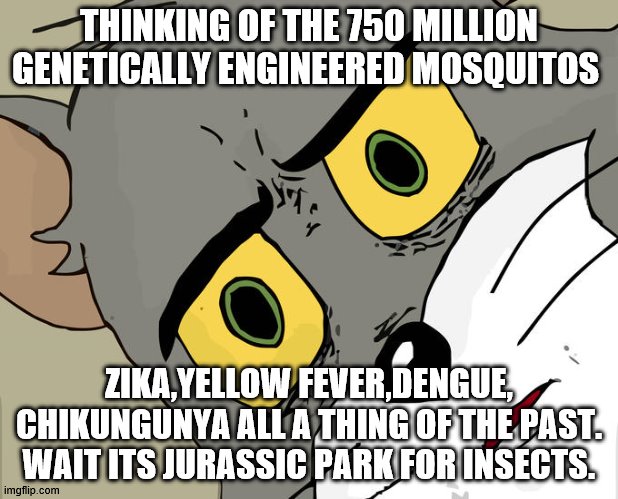 Concerned Tom | THINKING OF THE 750 MILLION GENETICALLY ENGINEERED MOSQUITOS; ZIKA,YELLOW FEVER,DENGUE, CHIKUNGUNYA ALL A THING OF THE PAST. WAIT ITS JURASSIC PARK FOR INSECTS. | image tagged in concerned tom | made w/ Imgflip meme maker