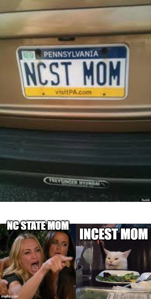 NC STATE MOM; INCEST MOM | image tagged in memes,woman yelling at cat | made w/ Imgflip meme maker