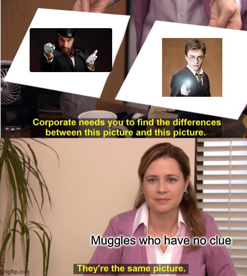 I hate muggles | Muggles who have no clue | image tagged in memes,they're the same picture | made w/ Imgflip meme maker
