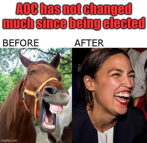 Reminds me of Sara Jessica Parker's horse face. | AOC has not changed much since being elected; BEFORE           AFTER | image tagged in aoc,horse face,political meme | made w/ Imgflip meme maker