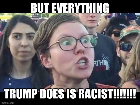 Angry sjw | BUT EVERYTHING TRUMP DOES IS RACIST!!!!!!! | image tagged in angry sjw | made w/ Imgflip meme maker