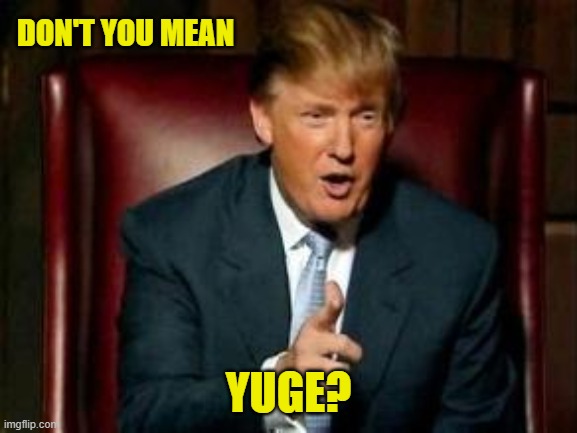 Donald Trump | DON'T YOU MEAN YUGE? | image tagged in donald trump | made w/ Imgflip meme maker