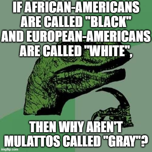 lol | IF AFRICAN-AMERICANS ARE CALLED "BLACK" AND EUROPEAN-AMERICANS ARE CALLED "WHITE", THEN WHY AREN'T MULATTOS CALLED "GRAY"? | image tagged in memes,philosoraptor,funny,race,black and white,mulatto | made w/ Imgflip meme maker