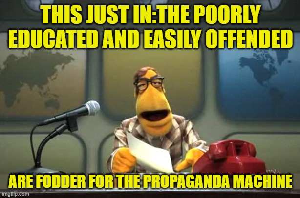 Muppet News Flash | THIS JUST IN:THE POORLY EDUCATED AND EASILY OFFENDED ARE FODDER FOR THE PROPAGANDA MACHINE | image tagged in muppet news flash | made w/ Imgflip meme maker