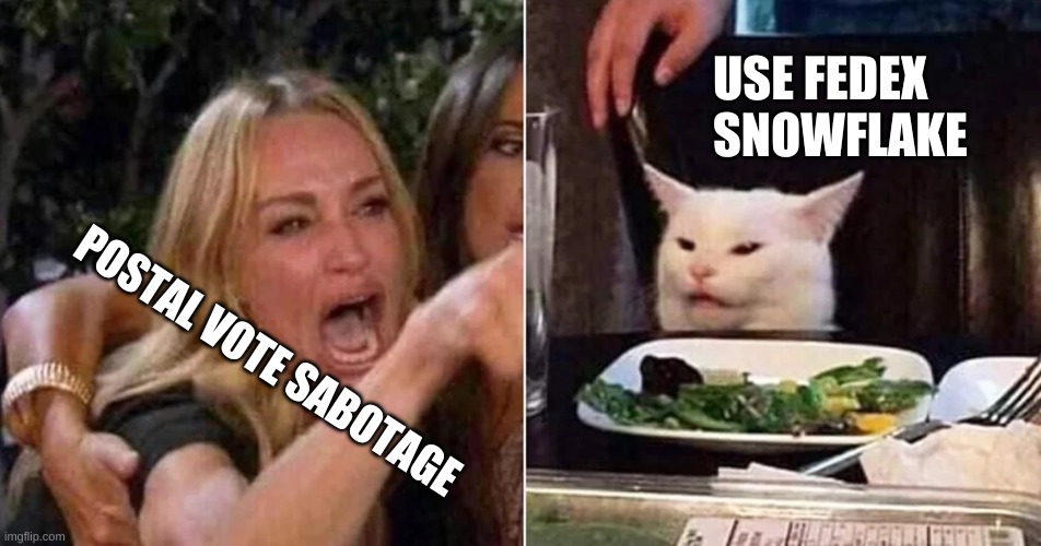 postal woman yelling at fedex cat | USE FEDEX SNOWFLAKE; POSTAL VOTE SABOTAGE | image tagged in woman yelling at cat cropped | made w/ Imgflip meme maker