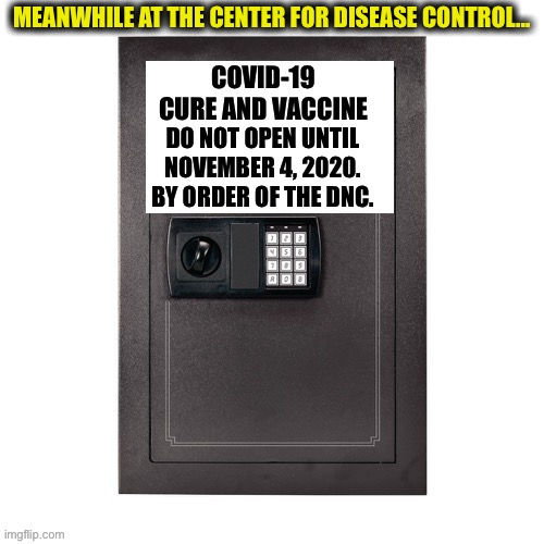 The Covid-19 vaccine | MEANWHILE AT THE CENTER FOR DISEASE CONTROL... | image tagged in covid-19,coronavirus,joe biden,kamala harris,dnc,democratic party | made w/ Imgflip meme maker