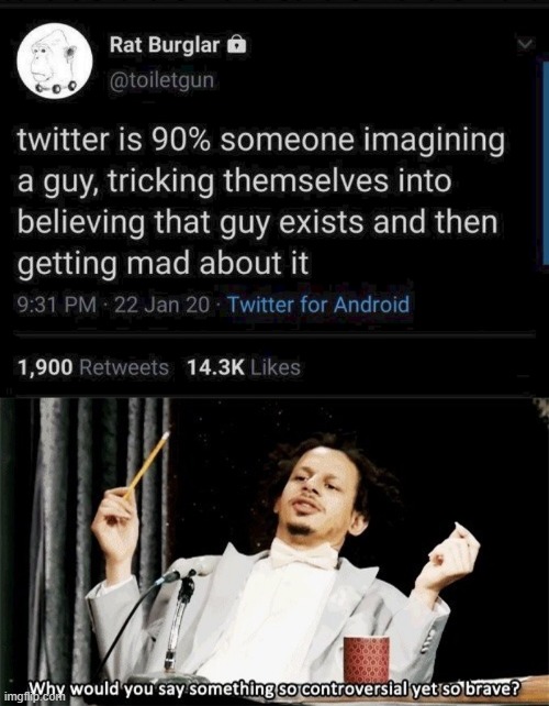 Twitter | image tagged in why would you say something so controversial yet so brave,memes,funny,twitter,mad | made w/ Imgflip meme maker