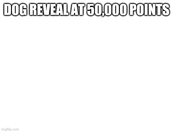 Seriously I will do a dog reveal soon | DOG REVEAL AT 50,000 POINTS | image tagged in blank white template,dog,reveal,points,soon | made w/ Imgflip meme maker