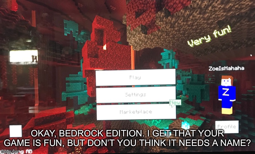 Logged onto Bedrock Edition and Found This. | OKAY, BEDROCK EDITION. I GET THAT YOUR GAME IS FUN, BUT DON’T YOU THINK IT NEEDS A NAME? | image tagged in minecraft | made w/ Imgflip meme maker