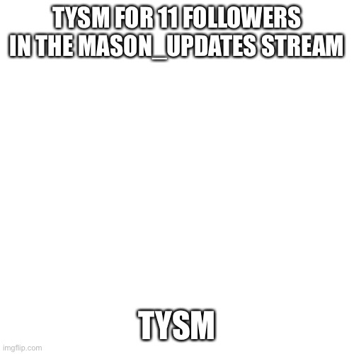 Blank Transparent Square | TYSM FOR 11 FOLLOWERS IN THE MASON_UPDATES STREAM; TYSM | image tagged in memes,blank transparent square | made w/ Imgflip meme maker