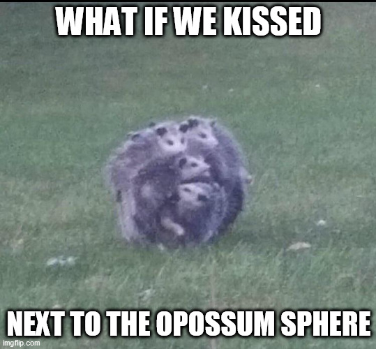 opossum sphere | WHAT IF WE KISSED; NEXT TO THE OPOSSUM SPHERE | image tagged in funny,oppossum,sphere | made w/ Imgflip meme maker