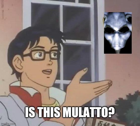 Is This A Pigeon Meme | IS THIS MULATTO? | image tagged in memes,is this a pigeon | made w/ Imgflip meme maker