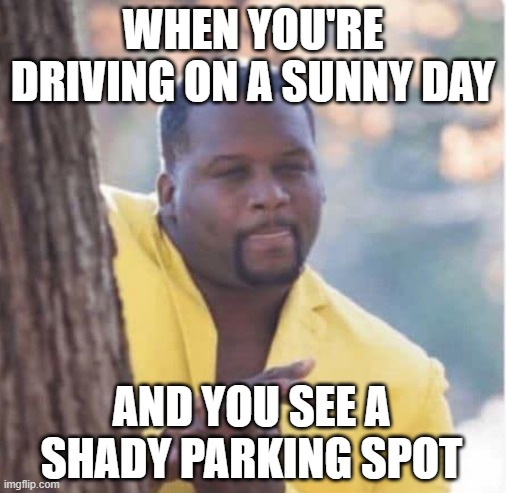 parking |  WHEN YOU'RE DRIVING ON A SUNNY DAY; AND YOU SEE A SHADY PARKING SPOT | image tagged in licking lips | made w/ Imgflip meme maker